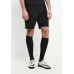 Шорты спортивные M NK FLX STRKE SHORT W Nike