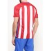 Футболка спортивная ATM M NK DRY STAD JSY HM Nike