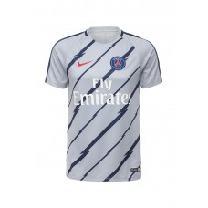 Футболка спортивная PSG M NK DRY SQD TOP SS GX Nike
