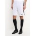 Шорты спортивные M NK DRY ACDMY SHORT K Nike