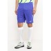 Шорты спортивные M NK DRY ACDMY SHORT K Nike