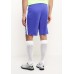 Шорты спортивные M NK DRY ACDMY SHORT K Nike