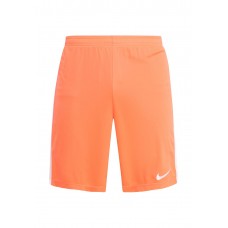 Шорты спортивные M NK DRY ACDMY SHORT K Nike