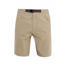Шорты M NK SB FLX EVRT SHORT Nike