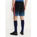 Шорты спортивные CR7 M NK SQD SHORT GX WZ Nike