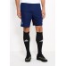Шорты спортивные PSG M NK DRY SQD SHORT KZ Nike