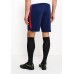 Шорты спортивные PSG M NK DRY SQD SHORT KZ Nike