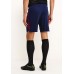 Шорты спортивные MCFC M NK DRY SQD SHORT KZ Nike