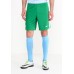 Шорты спортивные MCFC M NK BRT STAD SHORT HAG Nike