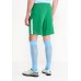 Шорты спортивные MCFC M NK BRT STAD SHORT HAG Nike